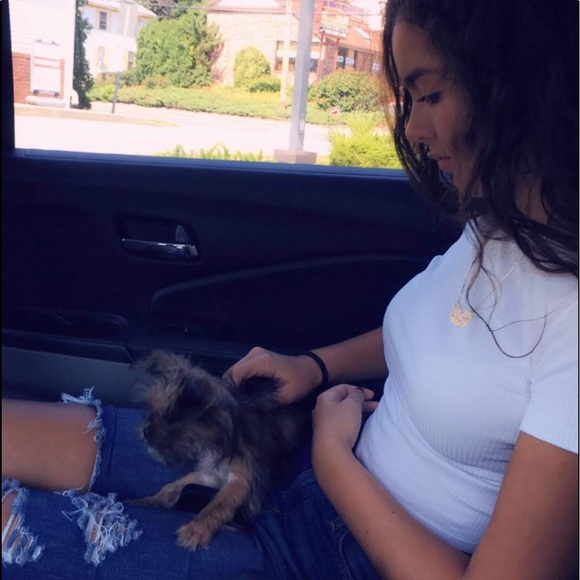 Cropped Shirt - Picture 4 of 5